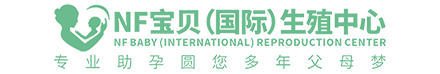 中辰网